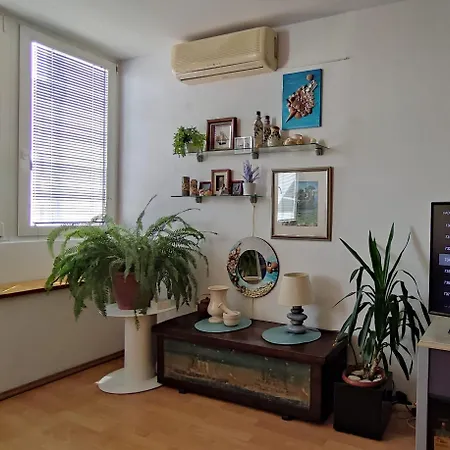 Apartman Gogina *